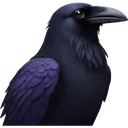 raven1