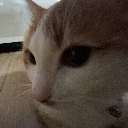 mailo_sideeye Discord emoji