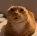 emoji_102