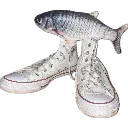 iftheshoefish