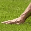 TouchGrass