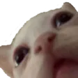 nbkguaHUH