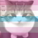 FemboyCatBandeira_FemboySlut