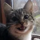 HAPPY
