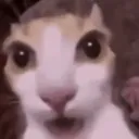 wow