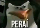 zzPerai Discord emoji