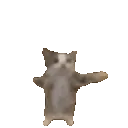 happycat