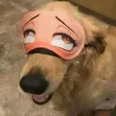 dog_ahegao_FemboySlut