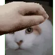 m_mixypat