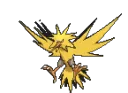 zapdos1