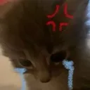 cry