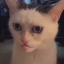 What