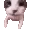 catKISS