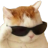 echat_CatHehe Discord emoji