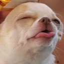 BLEH2