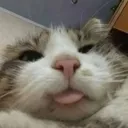 bleh