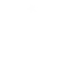 little_star