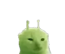 GlorpPirate