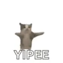 YIPEE