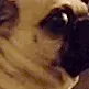Imsorrywhaat Imsorrywhaat