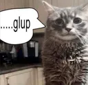 glup glup