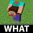 WHAT