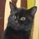 croppedIMG_20250119_140942_935