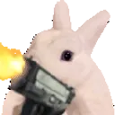 bunnygunsymoneyry