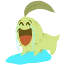 chikojoy