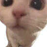 lx_GaySniffer