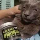 zaza