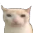 Bruh