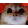 RAGEY