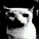 miseryanddespair miseryanddespair
