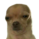 dog_buggin_cry Discord emoji