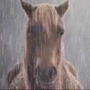 evilhorse