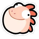 CurtisBlink
