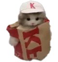 cutekfccat