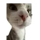 emoji_9