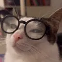 plinKnerd