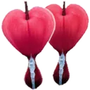 twoflower