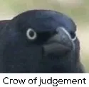 CrowOfJudgment CrowOfJudgment