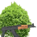 BushAK