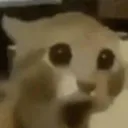 AAAAAAA AAAAAAA