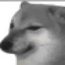 RZ_doglook RZ_doglook
