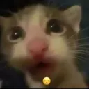 kittyohhh