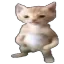 billa_owo