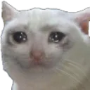 sed