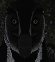 Raptor1000YardStare