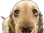 1170551667679305728